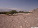 peru0304.jpg