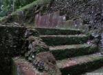 pa245204um.jpg